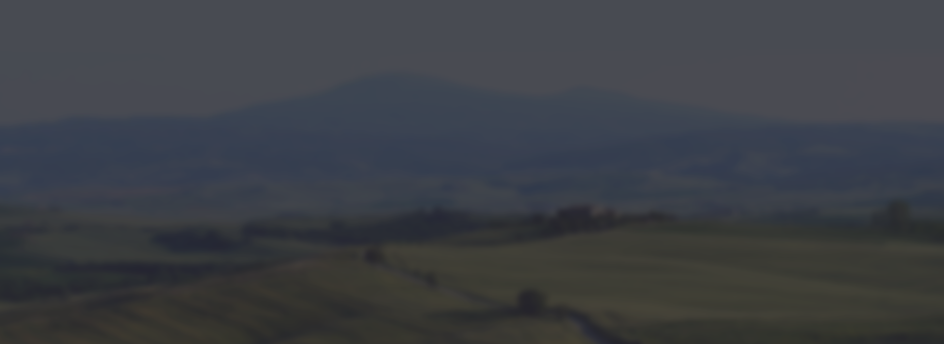 ����������ƻ�