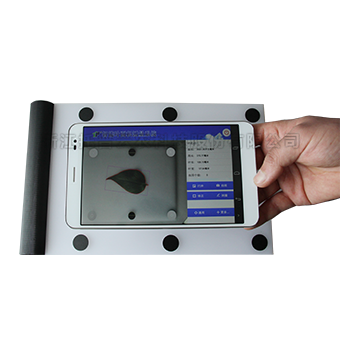 ����Ҷ�������ϵͳ