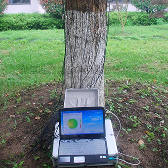 ��ľ������̽����