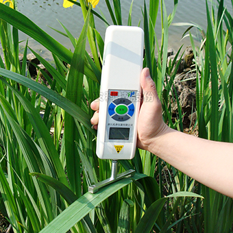 ֲ�￹�����ⶨ��