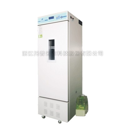 �˹�����������