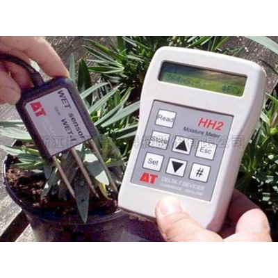 ����������������WET��