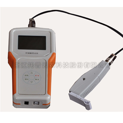 Ҷ����ӫ����