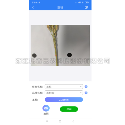 ����нǾ���������2