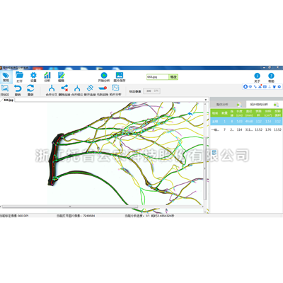 ��ϵ������