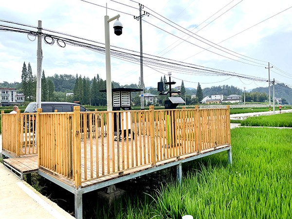 �㽭�ٰ������ֱ䵾���������������ũ��ϲ����