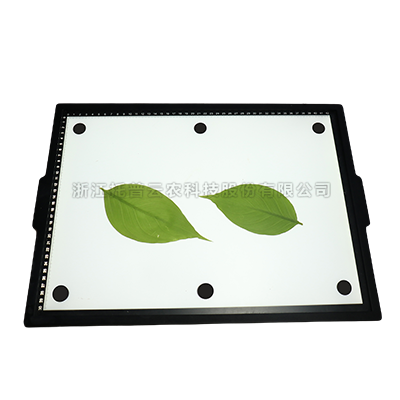 ����Ҷ�������ϵͳ�侰��װ��