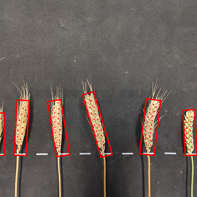 97���ʡ�(�й���)���޹�˾����