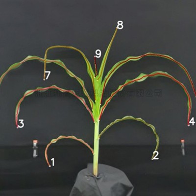 97���ʡ�(�й���)���޹�˾����