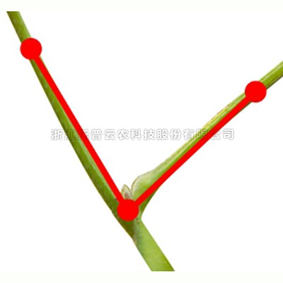 97���ʡ�(�й���)���޹�˾����