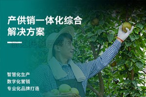 ������һ�廯�ۺϽ���ƻ�