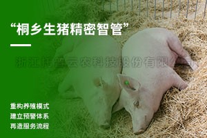 ͩ������ϸ���ǹ�