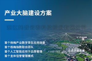 ��÷��ҵ���Խ���ƻ�