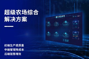 ����ũ���ۺϽ���ƻ�