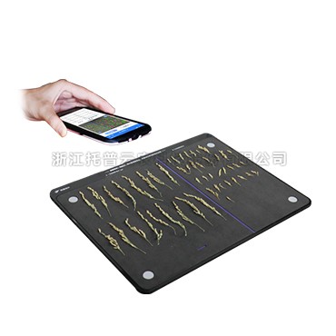 97���ʡ�(�й���)���޹�˾����