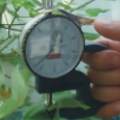 ҶƬ��Ȳⶨ��YH-1