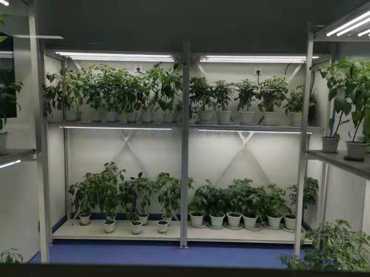 �˹������ҽ���ƻ�