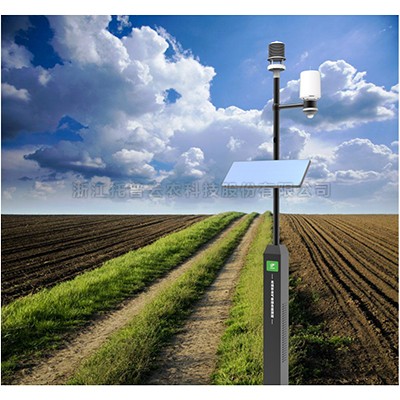 ���С������վ�����С������վ���ݣ�