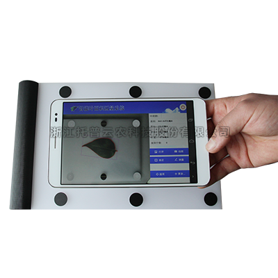 ֲ��Ҷ�������������|ֲ��Ҷ����ǵ�����ԭ��