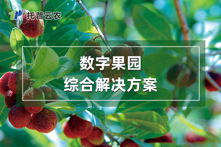 Êý×Ö¹ûÔ°×ۺϽâ¾ö¼Æ»®