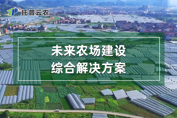 δ��ũ�������ۺϽ���ƻ�