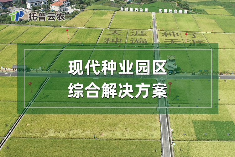 ÏÖ´úÖÖÒµÔ°Çø×ۺϽâ¾ö¼Æ»®