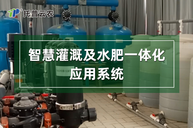 ˮ��һ�廯����ϵͳ