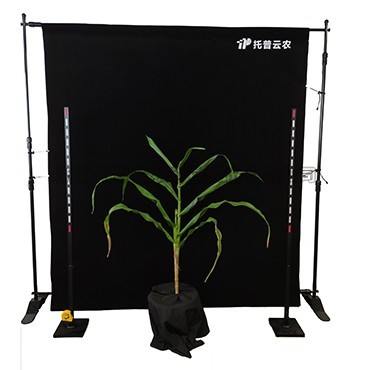 �������������ǣ�һ�����ͼ��ʶ�����յ������������װ����