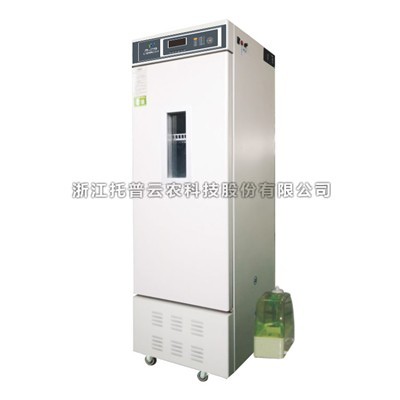 ��֯����������|ֲ����֯��������������