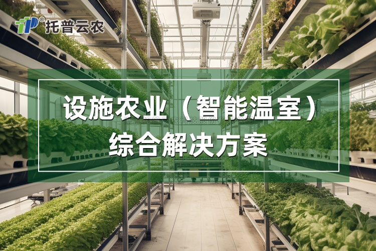 Éèʩũҵ×ۺϽâ¾ö¼Æ»®