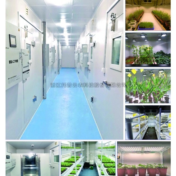 ×éÅàÊÒÉè¼Æ¼Æ»®£¨º¬½¨ÉèÄÚÈÝ£©