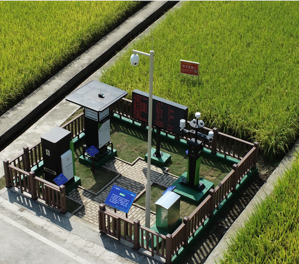 ����߱�׼ũ�������������������ũҵ��ɫ��Ч����