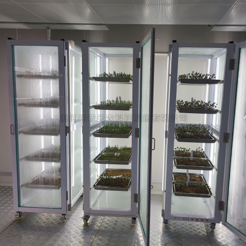 ��ѿ������|���ӳ�ѿ���������