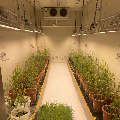 ֲ��������