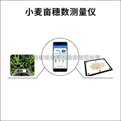 С��Ķ��������ϵͳ��ϸ����