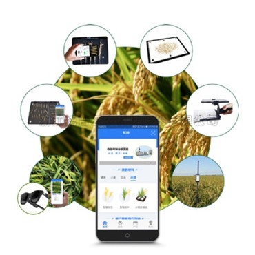 Ë®µ¾±íÐͼì²âÒÇ