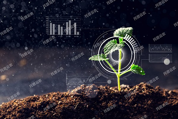 ȫ�����̡���97����Ϊֲ����Ϳ��С����ǡ�����