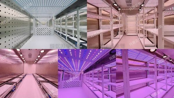 ���첻ֹ��������������������δ����97�����˹���������ȫ����