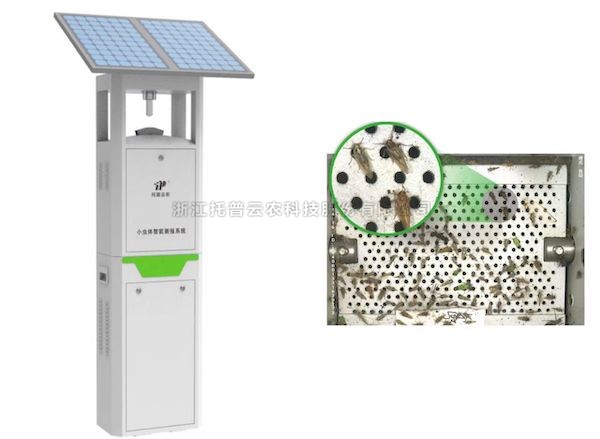 97����С�������ܲⱨϵͳ�������ⱨ�̰� �ƶ�������ɫ����