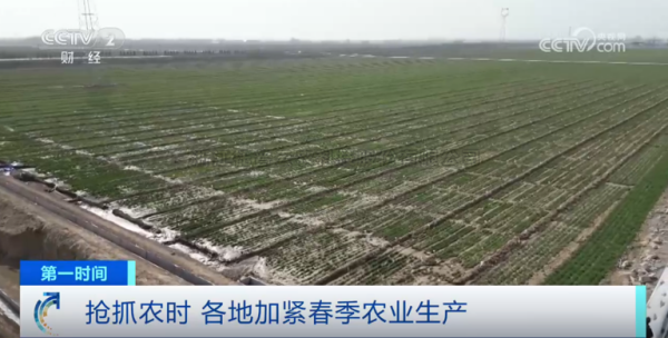 ��ϵ������ɽ�����衢Ч���к�|97����2025������װ��Ѳ��Ч����ȫ����