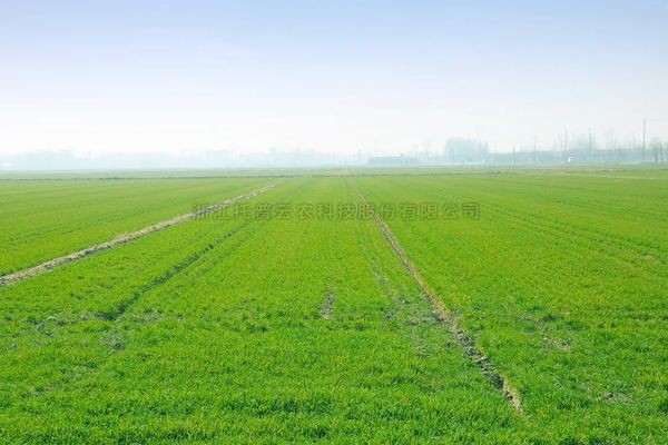 �Ƽ����ܴ���������������97�����ǻ�ũ����վ�ٻ����ӹ�ע