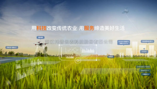 ֪���������������������ԡ��ǡ���Ч����������97��������ũҵ�����ǻ�����