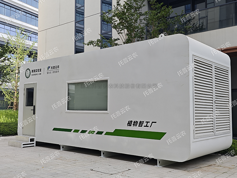 ����ֲ�﹤������ƻ�