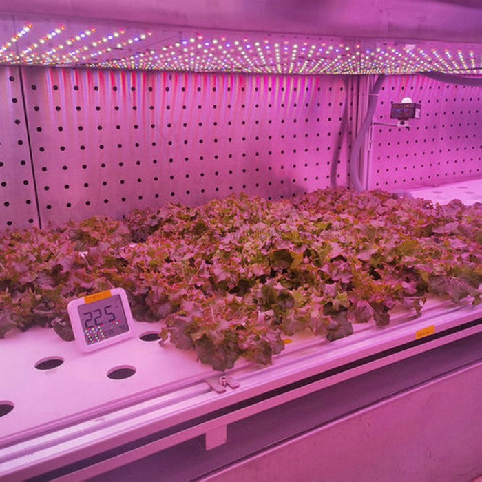 97���ʡ�(�й���)���޹�˾����