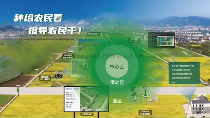 ���Ǵ����ۺϽ���ƻ�