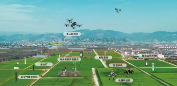 ������������������������ƻ�