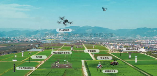 ���ֻ������ֻ��������ƻ�