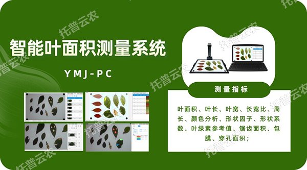 ����Ҷ�������ϵͳ�����뼶���ٲ�ҶƬ�����������������ͬ�������������������ƶ����ݺ�����