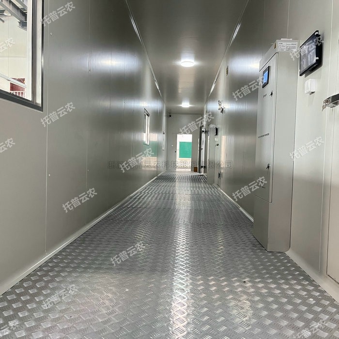 ���ӿ�����|���ӿ���ʲô��˼����������