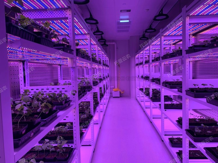 97���ʡ�(�й���)���޹�˾����